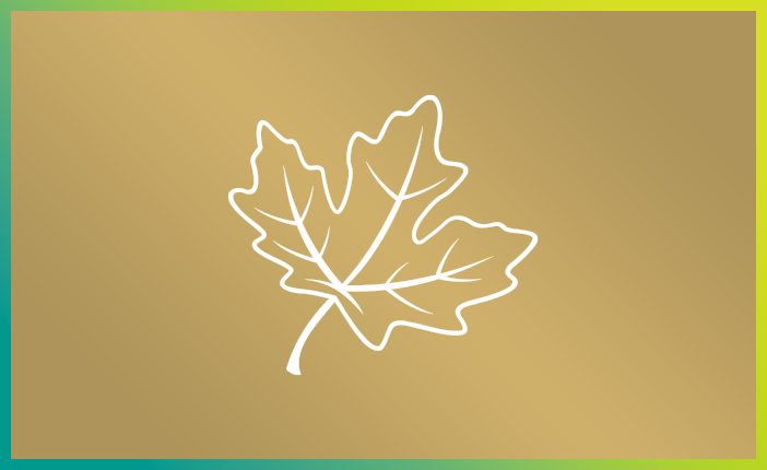 Decorative icon