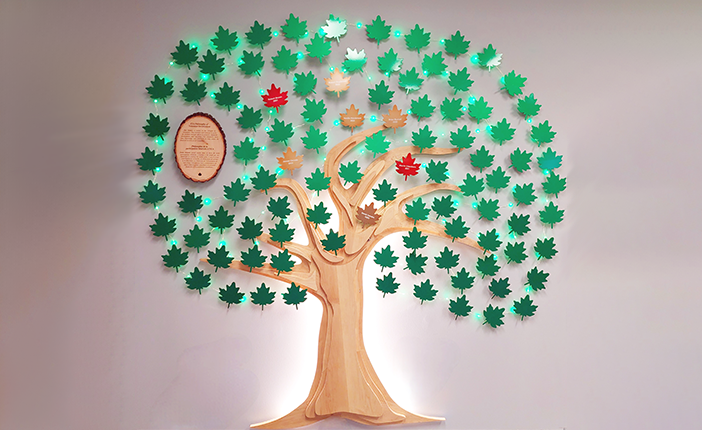 The CIA legacy tree