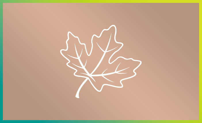 Decorative icon