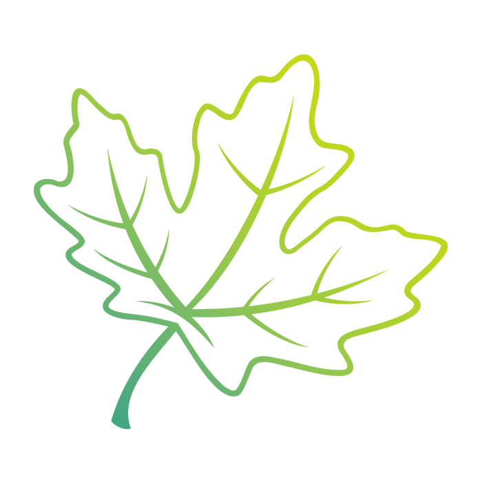 Decorative icon