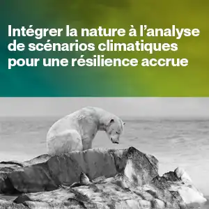 Un ours polaire et l'océan en arrière-plan.